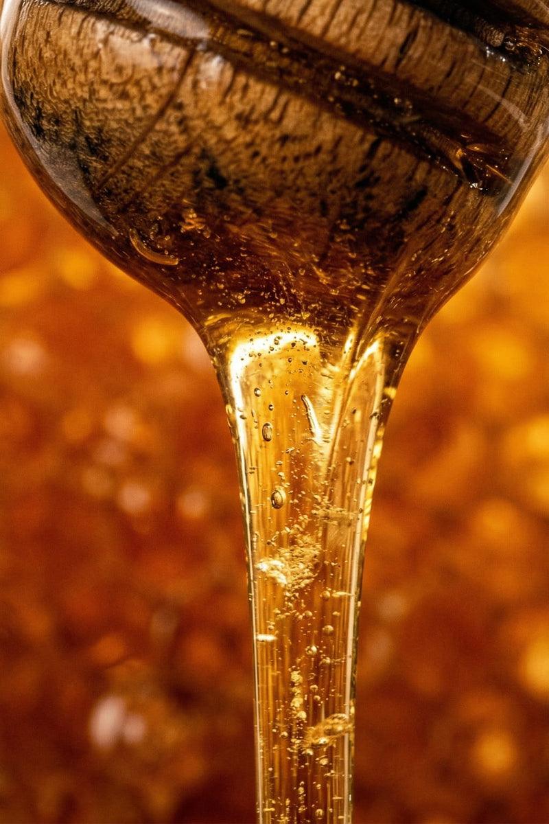 Honey — The Immortal Sweet