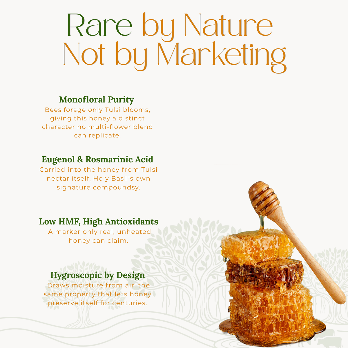 Monofloral Tulsi Honey