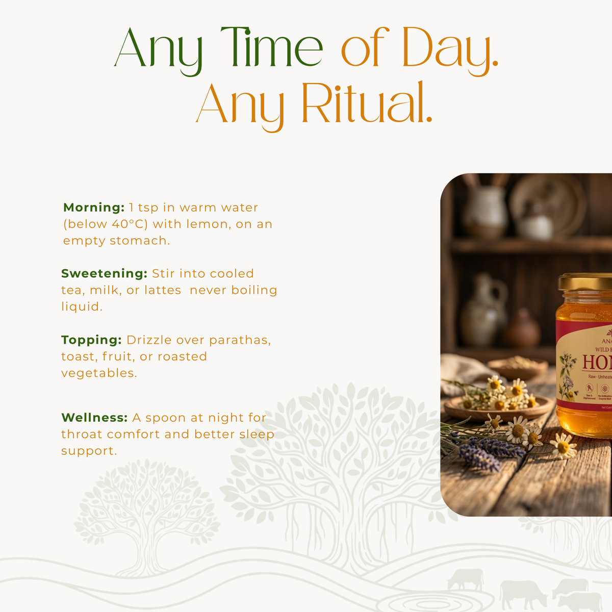 Wild Forest Honey