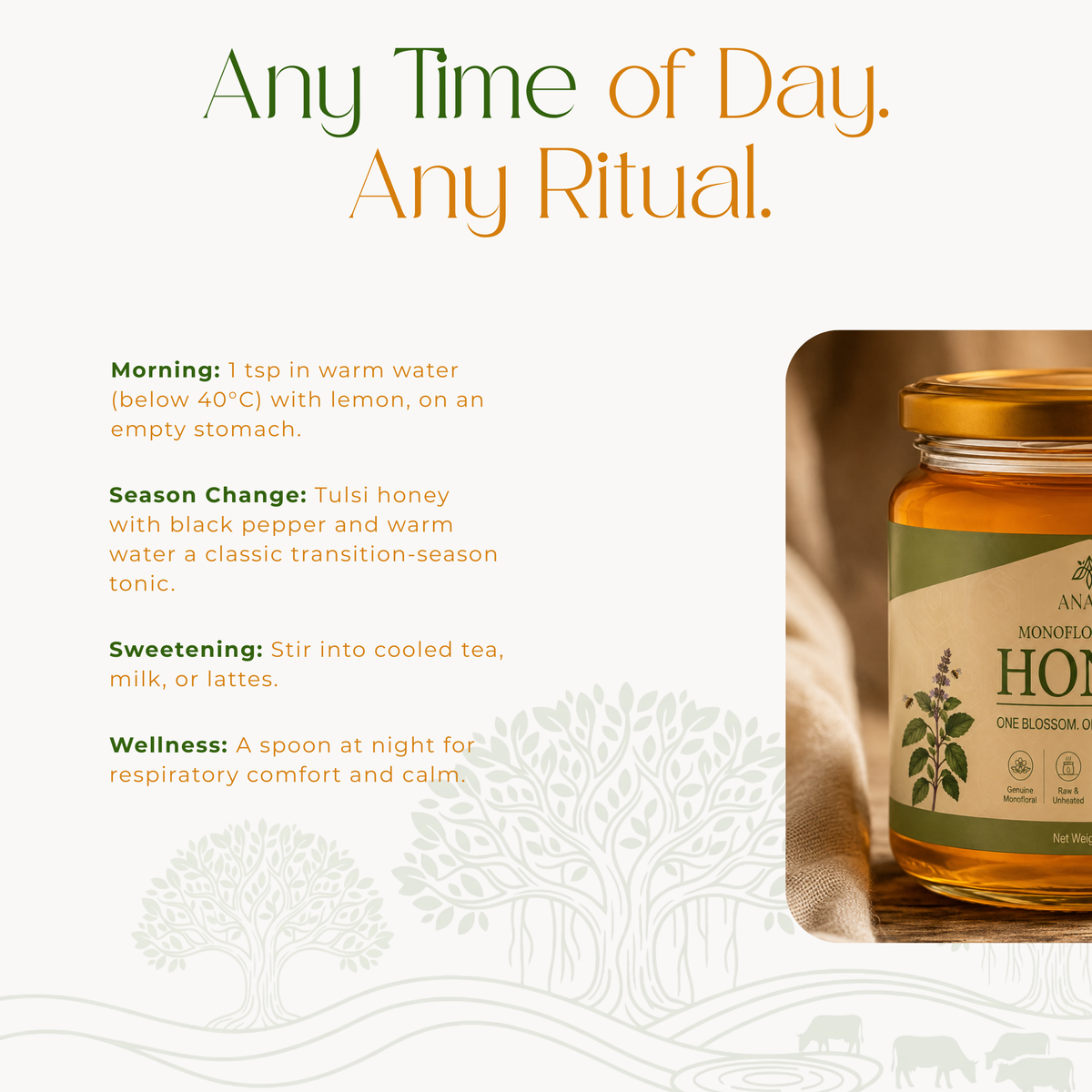Monofloral Tulsi Honey