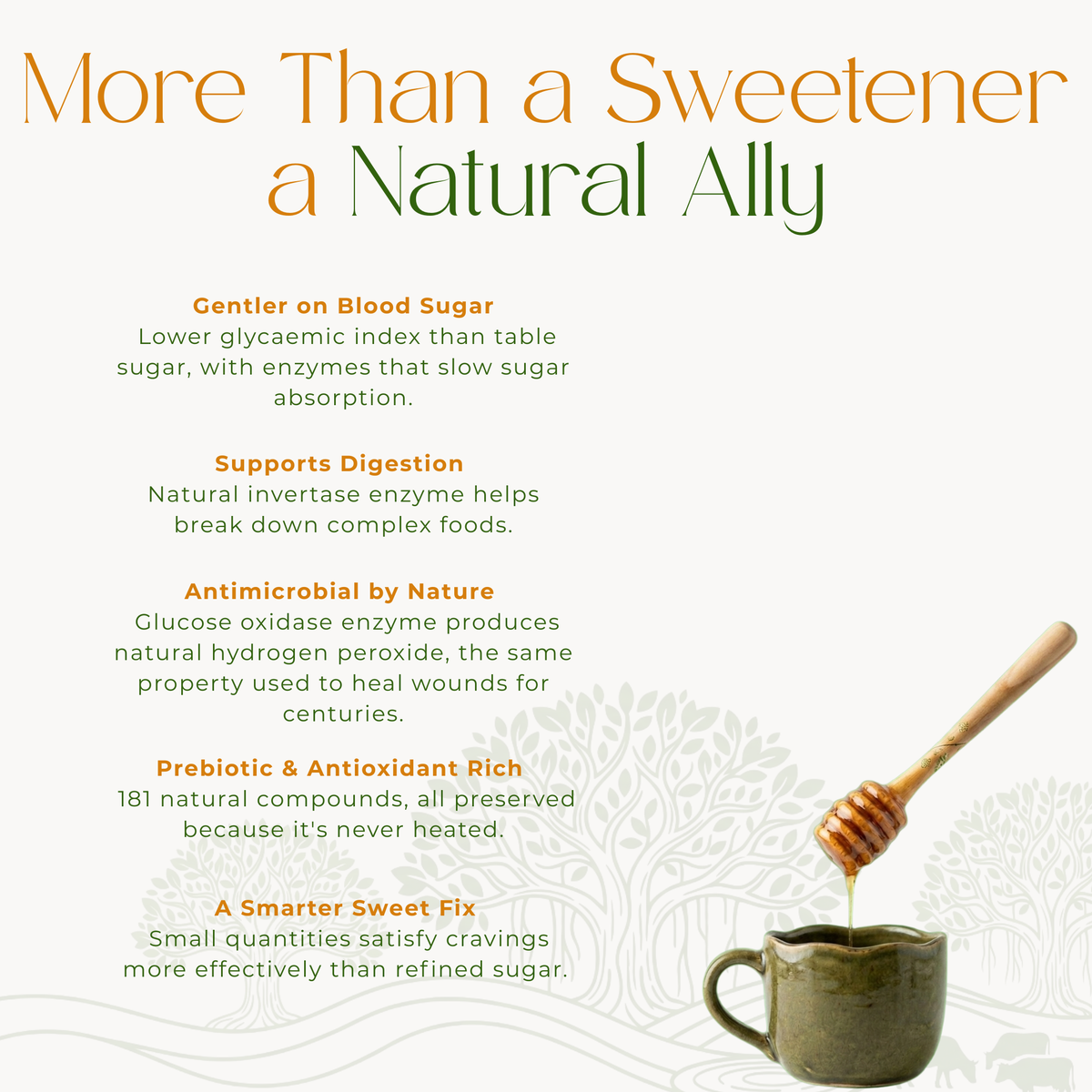 Wild Forest Honey