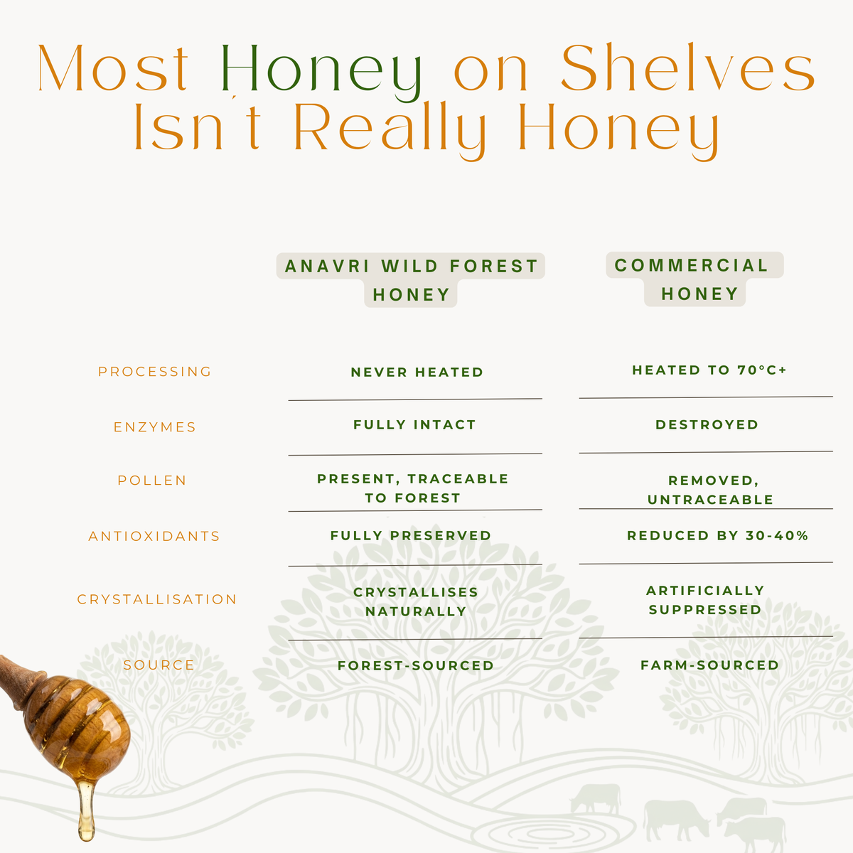 Wild Forest Honey