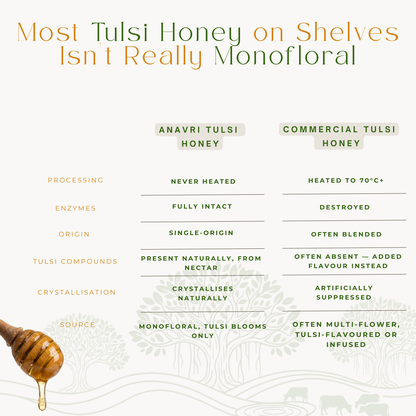 Monofloral Tulsi Honey
